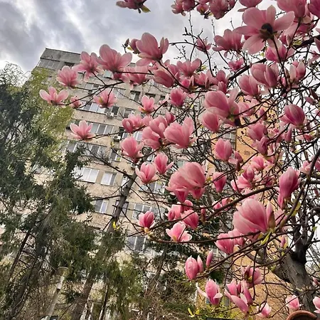 Loft National Arena
