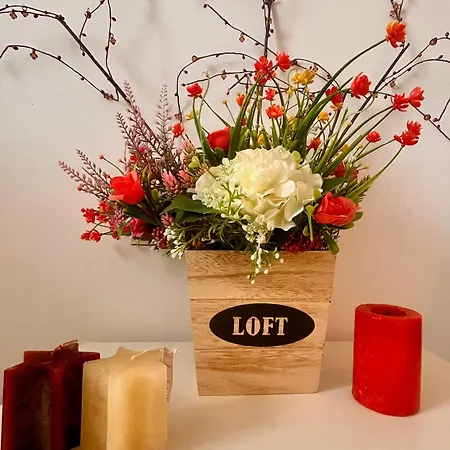 Loft National Arena * Bucharest